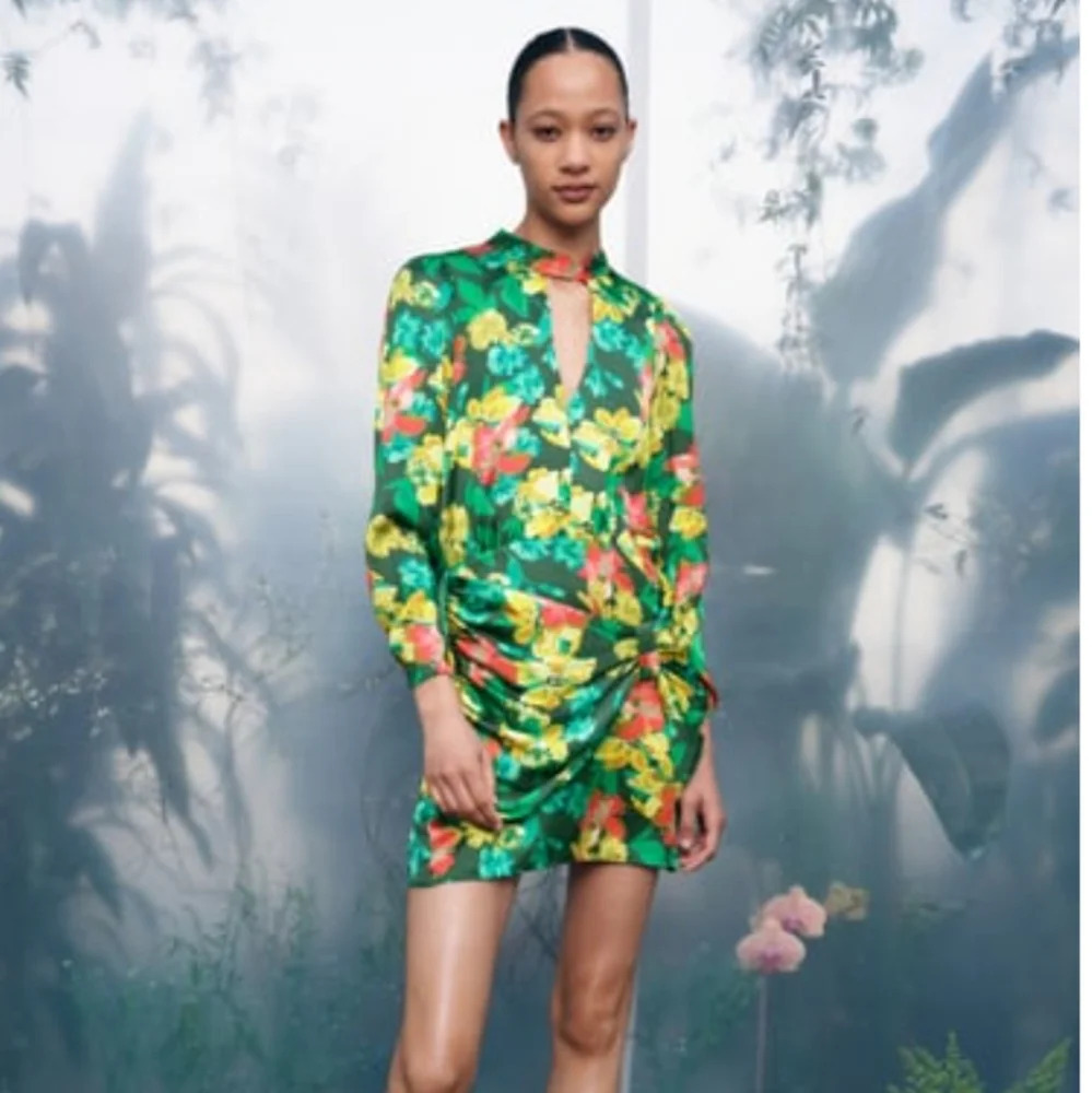 Zara Floral Print Dress NWT